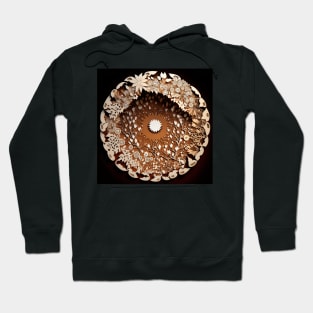 Mandala of nature Hoodie